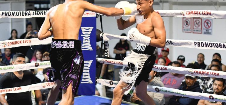 Vibran leoneses con función de box “Talento leones ll”