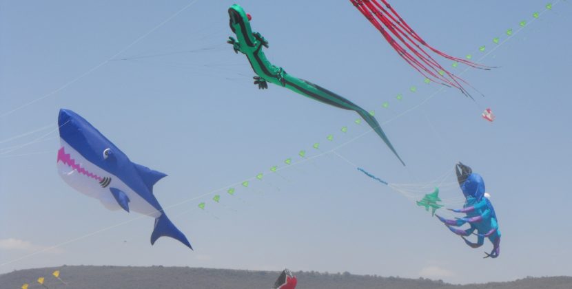 Listo el Festival Internacional de papalotes y cometas México 2025