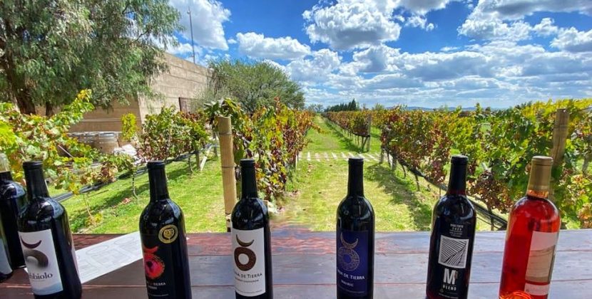 Premian vinos de Guanajuato en los Wine Awards 2025