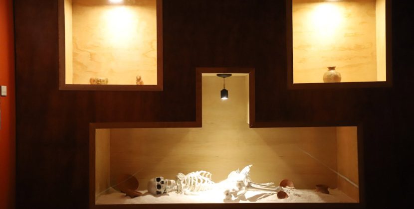 Exposición “Los tesoros de mi tierra” en PGB