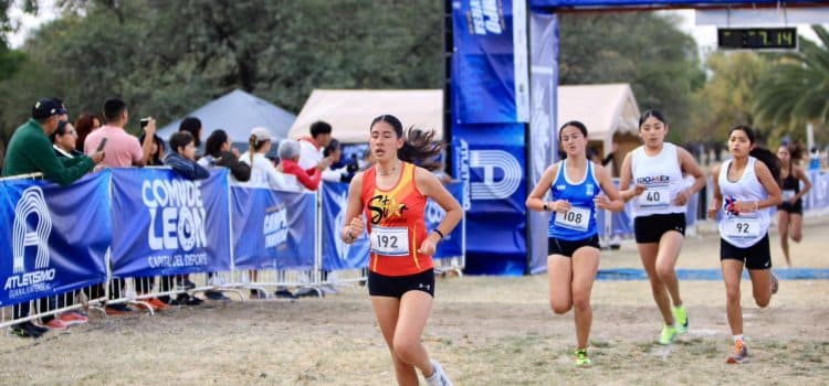 Triunfan guanajuatenses