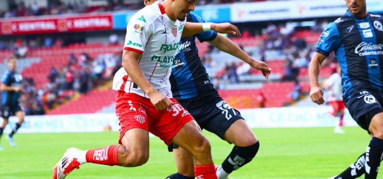 Gallos cantan en casa